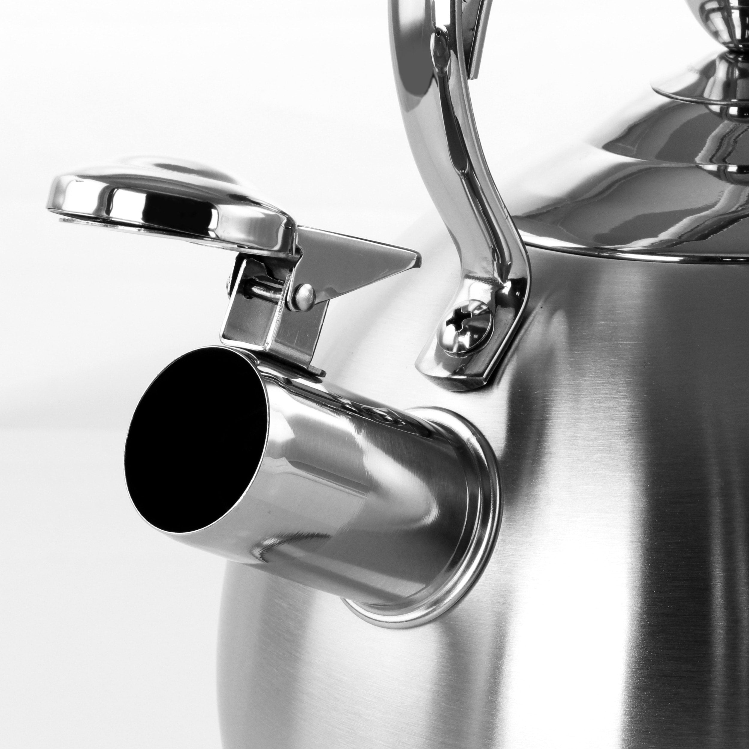 Bouilloire sifflante ronde argentée de 3 litres