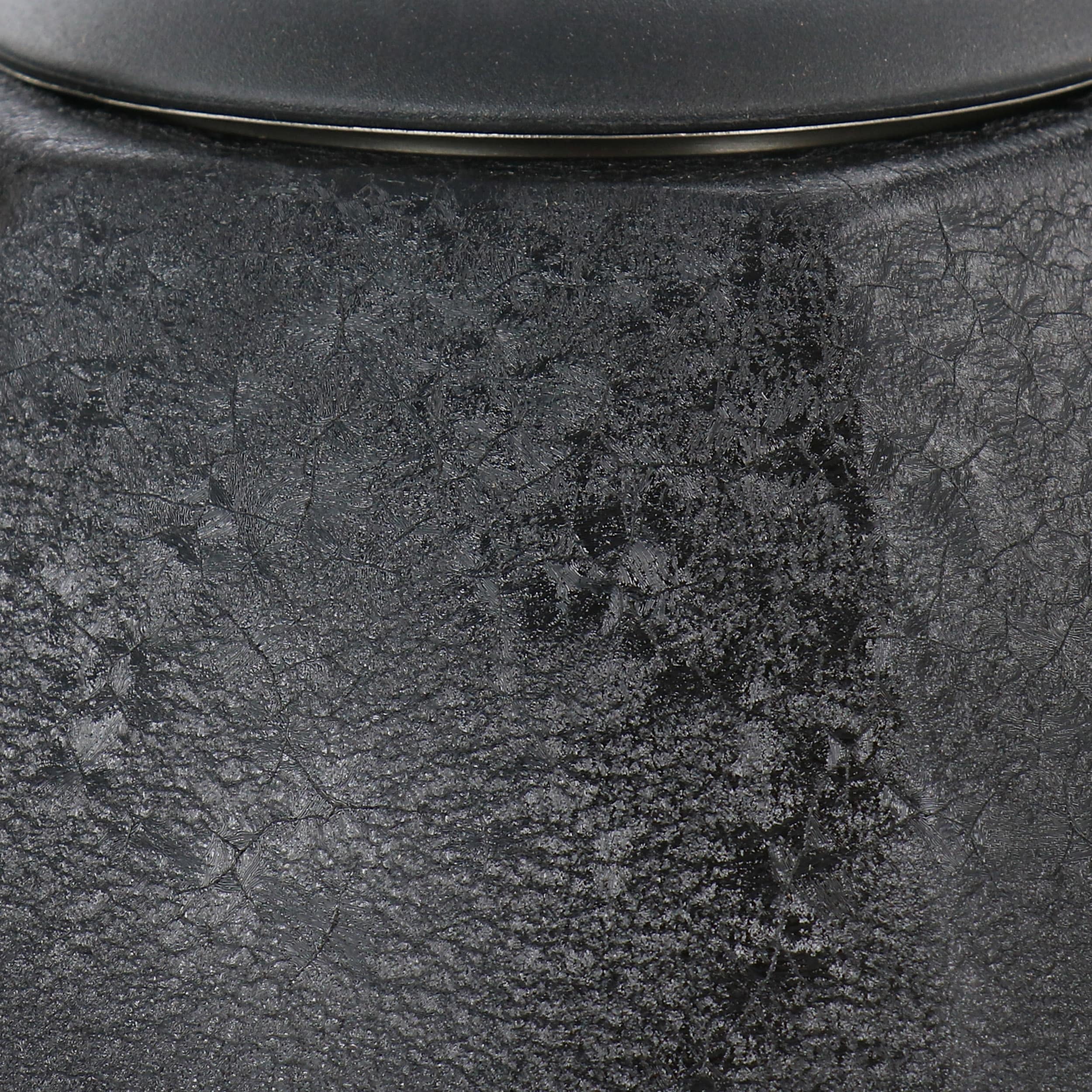 Bouilloire sifflante en acier inoxydable de 3 litres